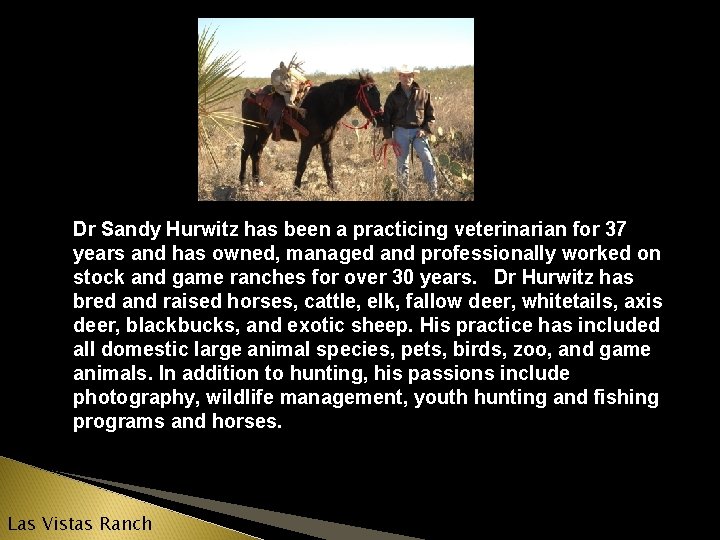 Dr Sandy Hurwitz has been a practicing veterinarian for 37 years and has owned,