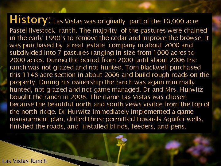 History: Las Vistas was originally part of the 10, 000 acre Pastel livestock ranch.