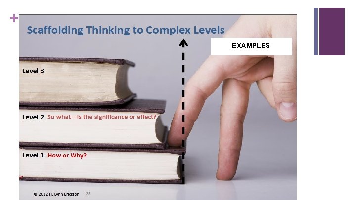+ * EXAMPLES 