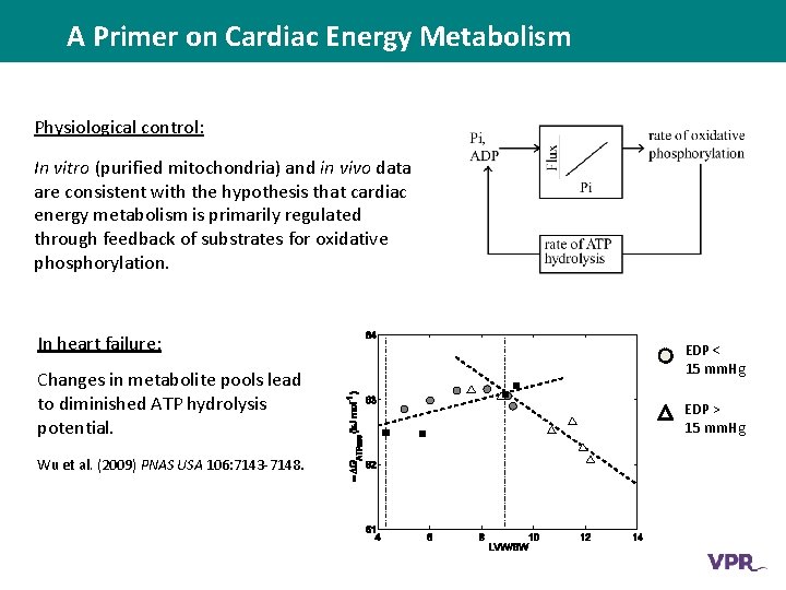The Role of Metabolic Dysfunction in Heart Failure