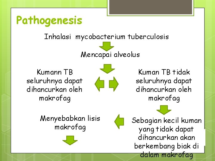 Pathogenesis Inhalasi mycobacterium tuberculosis Mencapai alveolus Kumann TB seluruhnya dapat dihancurkan oleh makrofag Menyebabkan