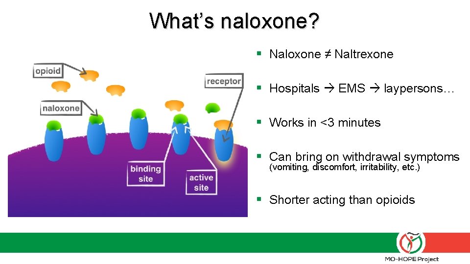 What’s naloxone? § Naloxone ≠ Naltrexone § Hospitals EMS laypersons… § Works in <3