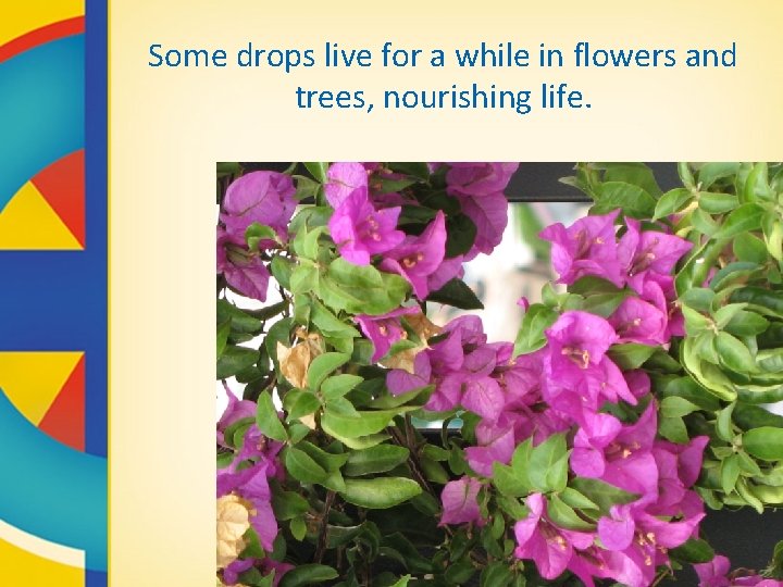 Some drops live for a while in flowers and trees, nourishing life. 