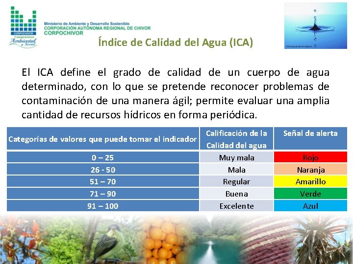 Índice de Calidad del Agua (ICA) El ICA define el grado de calidad de
