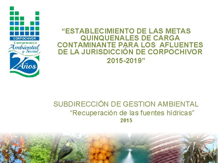 “ESTABLECIMIENTO DE LAS METAS QUINQUENALES DE CARGA CONTAMINANTE PARA LOS AFLUENTES DE LA JURISDICCIÓN