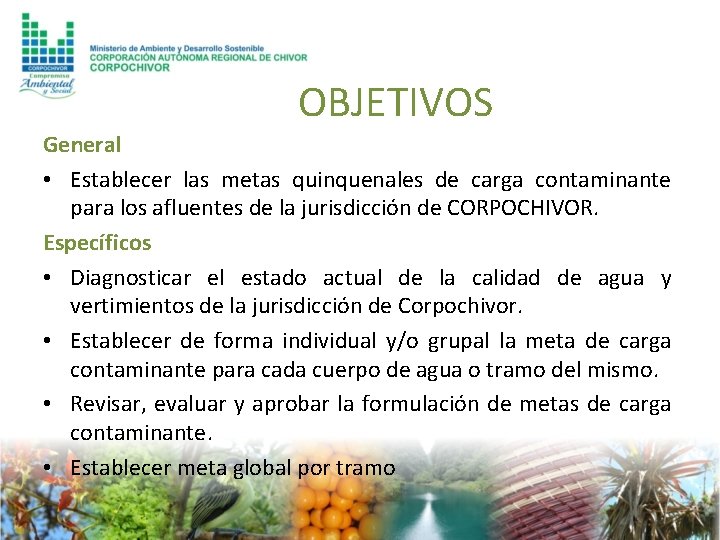 OBJETIVOS General • Establecer las metas quinquenales de carga contaminante para los afluentes de