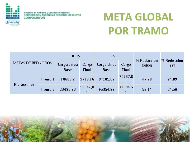 META GLOBAL POR TRAMO DBO 5 METAS DE REDUCCIÓN SST Carga Linea Carga Base