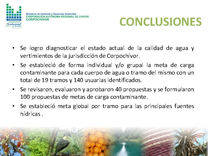 CONCLUSIONES • Se logro diagnosticar el estado actual de la calidad de agua y