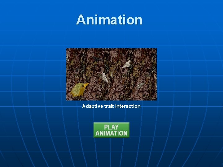 Animation Adaptive trait interaction 