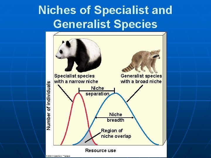 Number of individuals Niches of Specialist and Generalist Species Specialist species with a narrow