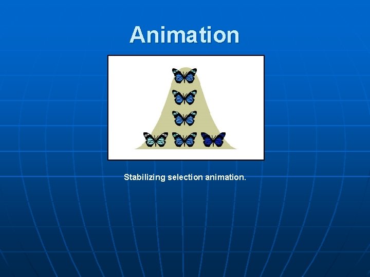 Animation Stabilizing selection animation. 