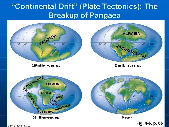 “Continental Drift” (Plate Tectonics): The Breakup of Pangaea LAURASIA EA GA N A P