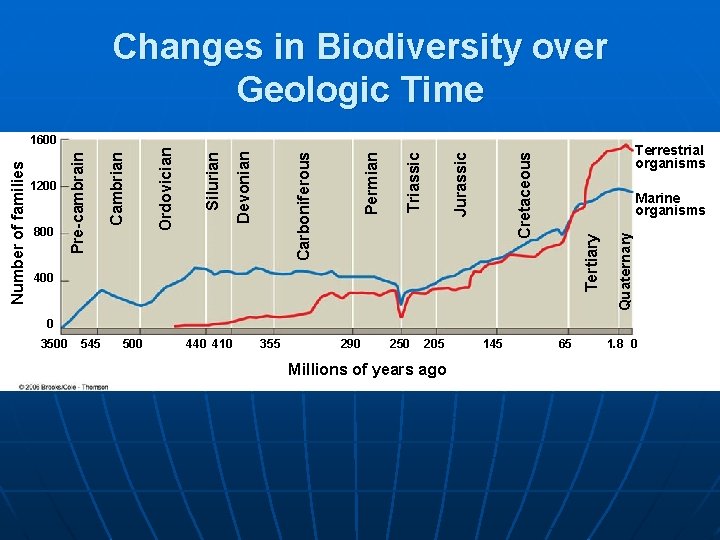 Changes in Biodiversity over Geologic Time Terrestrial organisms Cretaceous 400 Quaternary Marine organisms Tertiary