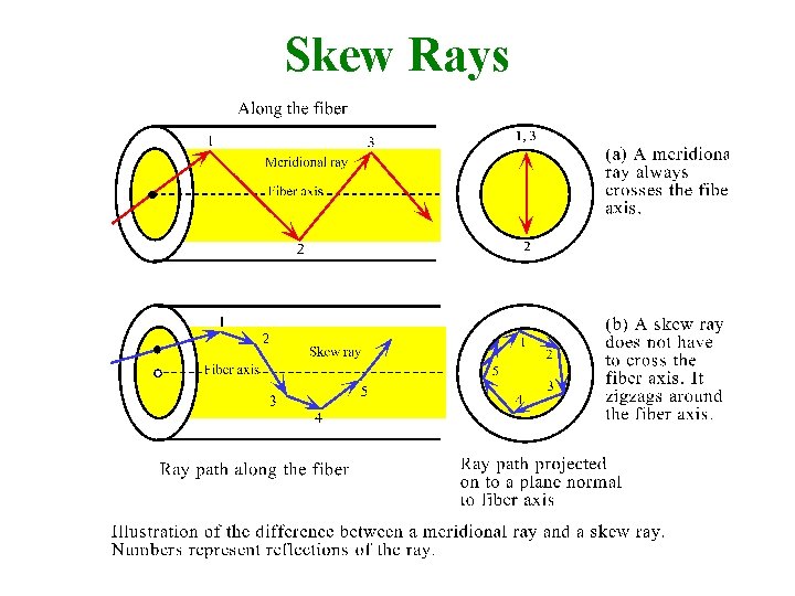 Skew Rays 