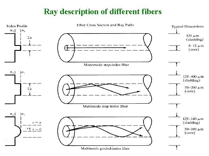 Ray description of different fibers 