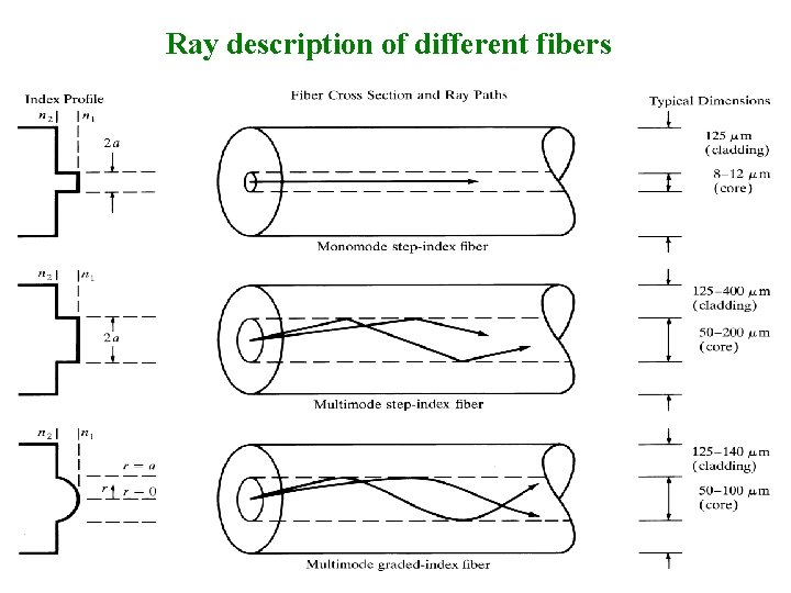 Ray description of different fibers 