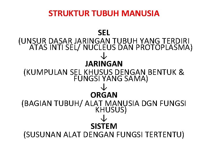 STRUKTUR TUBUH MANUSIA SEL (UNSUR DASAR JARINGAN TUBUH YANG TERDIRI ATAS INTI SEL/ NUCLEUS