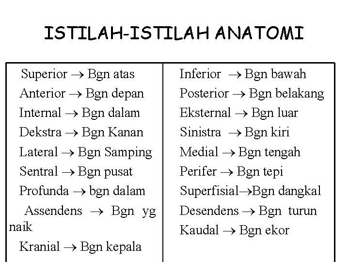 ISTILAH-ISTILAH ANATOMI Superior Bgn atas Anterior Bgn depan Internal Bgn dalam Dekstra Bgn Kanan