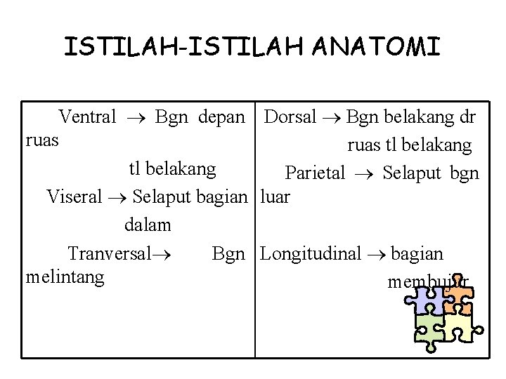 ISTILAH-ISTILAH ANATOMI Ventral Bgn depan ruas tl belakang Viseral Selaput bagian dalam Tranversal Bgn