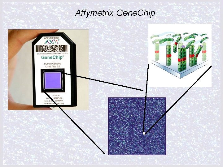 Affymetrix Gene. Chip 