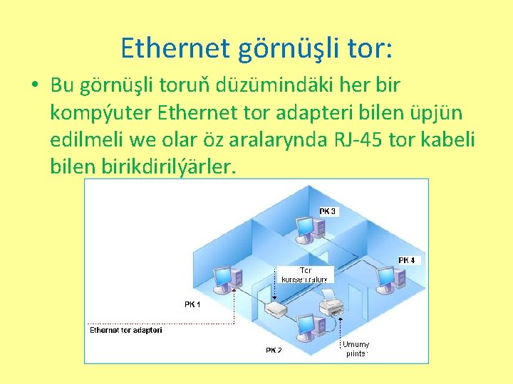 Ethernet görnüşli tor: • Bu görnüşli toruň düzümindäki her bir kompýuter Ethernet tor adapteri