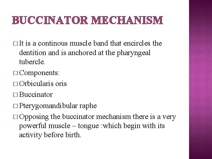 BUCCINATOR MECHANISM � It is a continous muscle band that encircles the dentition and