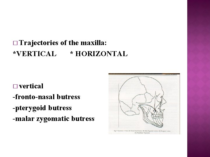 � Trajectories of the maxilla: *VERTICAL * HORIZONTAL � vertical -fronto-nasal butress -pterygoid butress
