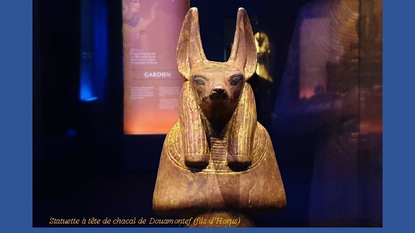 Statuette à tête de chacal de Douamontef (fils d’Horus) 
