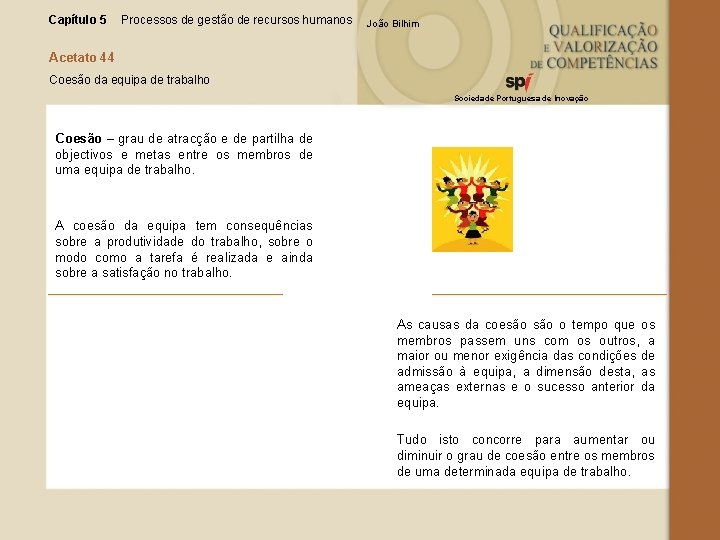 Capítulo 5 Processos de gestão de recursos humanos João Bilhim Acetato 44 Coesão da