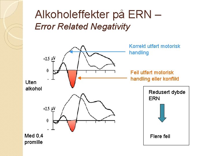 Alkoholeffekter på ERN – Error Related Negativity Korrekt utført motorisk handling Uten alkohol Med