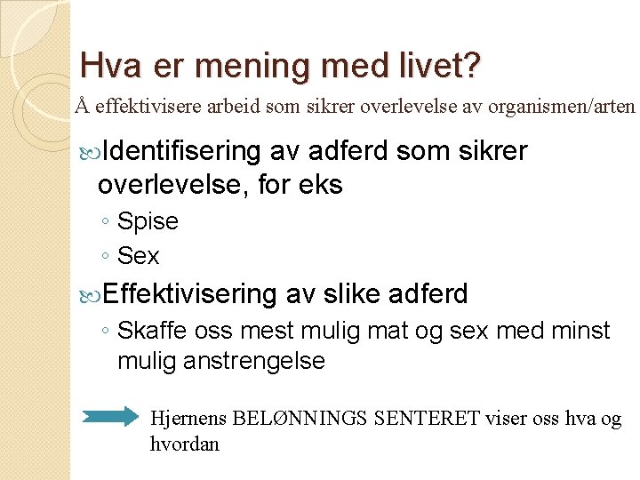 Hva er mening med livet? Å effektivisere arbeid som sikrer overlevelse av organismen/arten Identifisering