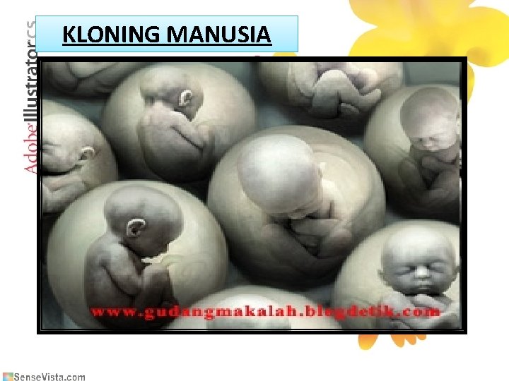 KLONING MANUSIA 