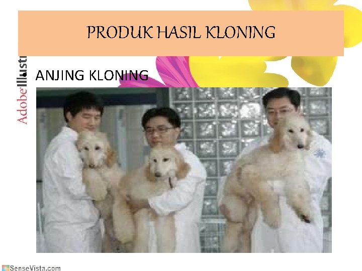 PRODUK HASIL KLONING • ANJING KLONING 