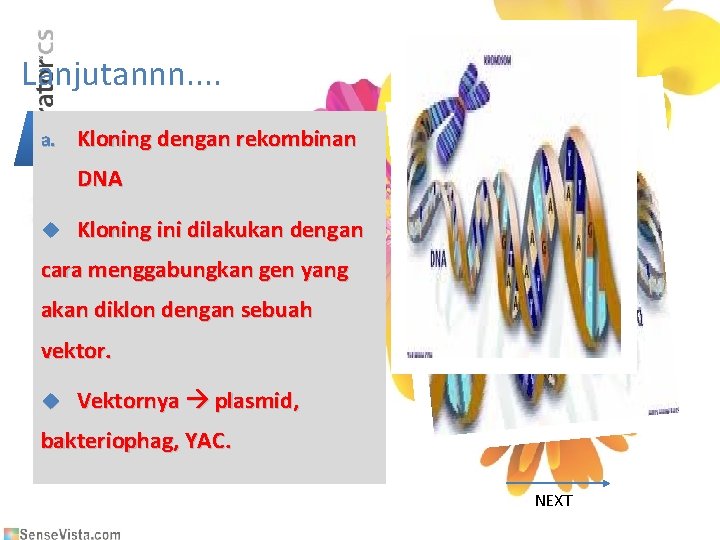 Lanjutannn. . a. Kloning dengan rekombinan DNA Kloning ini dilakukan dengan cara menggabungkan gen