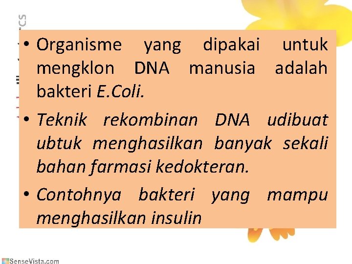  • Organisme yang dipakai untuk mengklon DNA manusia adalah bakteri E. Coli. •