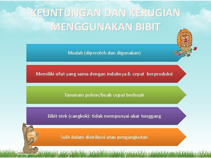 KEUNTUNGAN DAN KERUGIAN MENGGUNAKAN BIBIT Mudah (diperoleh dan digunakan) Memiliki sifat yang sama dengan