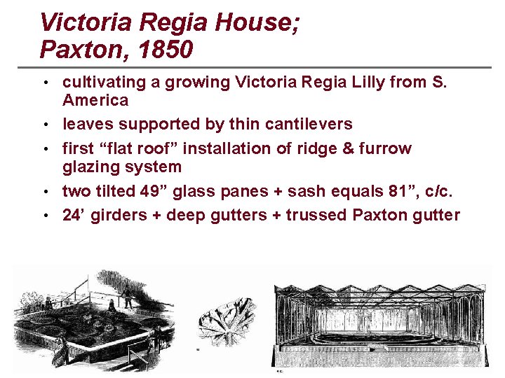 Victoria Regia House; Paxton, 1850 • cultivating a growing Victoria Regia Lilly from S.