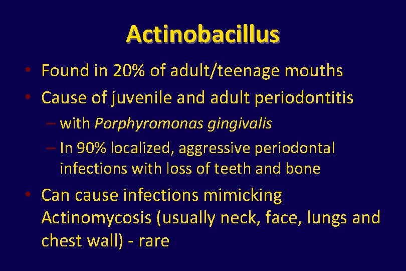 Actinobacillus • Found in 20% of adult/teenage mouths • Cause of juvenile and adult
