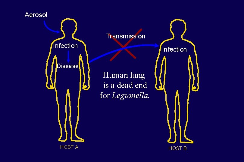 Aerosol Transmission Infection Disease Human lung is a dead end for Legionella. HOST A