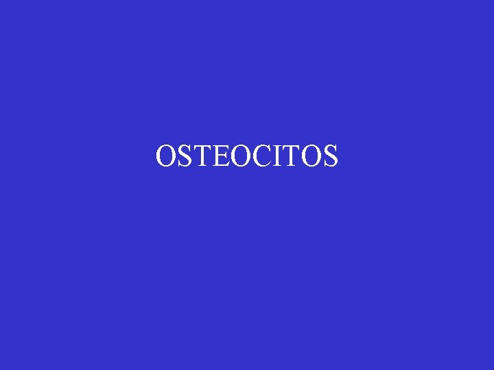 OSTEOCITOS 