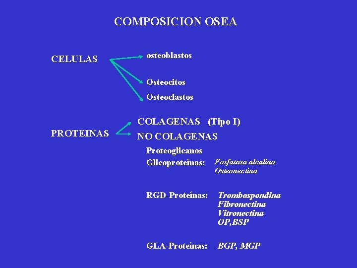 COMPOSICION OSEA CELULAS osteoblastos Osteocitos Osteoclastos COLAGENAS (Tipo I) PROTEINAS NO COLAGENAS Proteoglicanos Glicoproteínas: