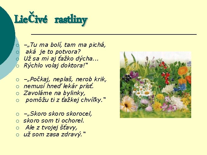 Liečivé rastliny ¡ ¡ ¡ –„Tu ma bolí, tam ma pichá, aká je to