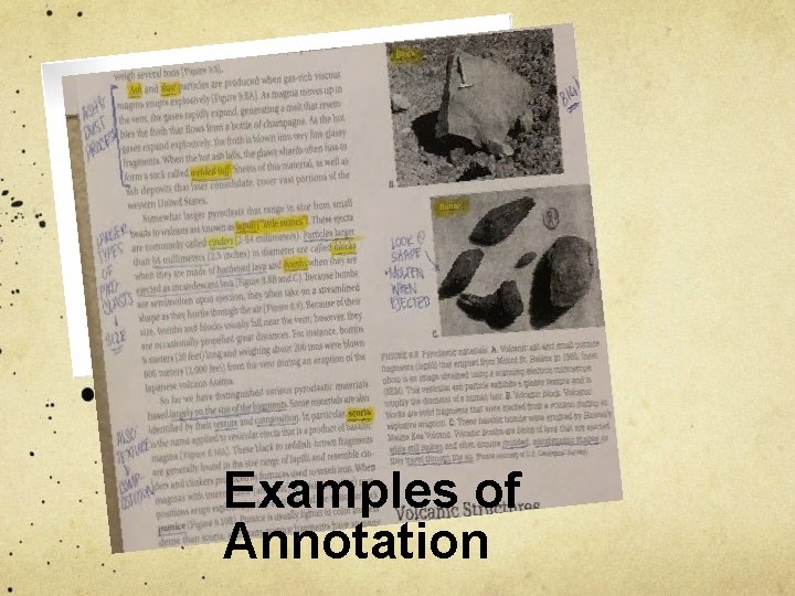 Examples of Annotation 