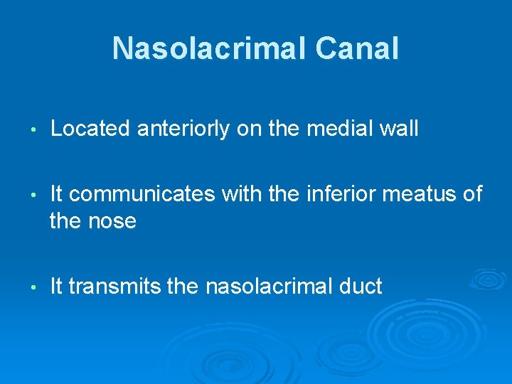 Nasolacrimal Canal • Located anteriorly on the medial wall • It communicates with the