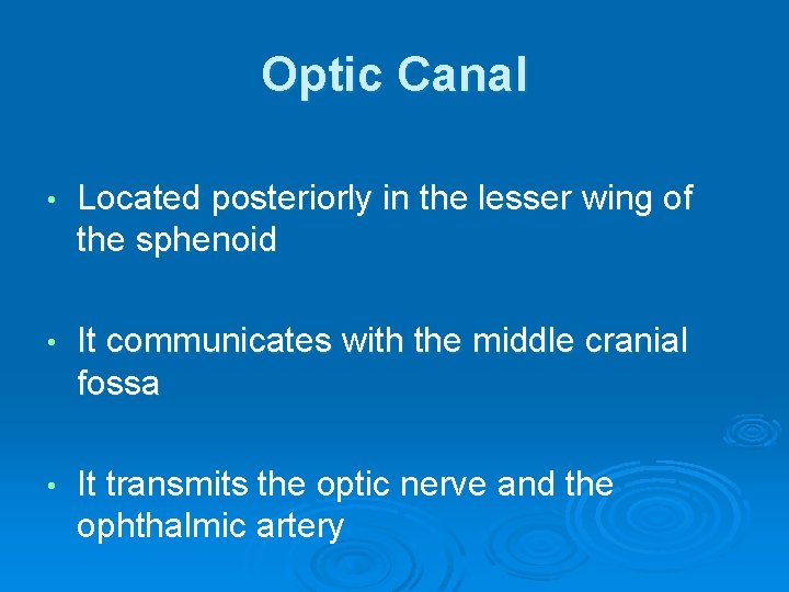 Optic Canal • Located posteriorly in the lesser wing of the sphenoid • It