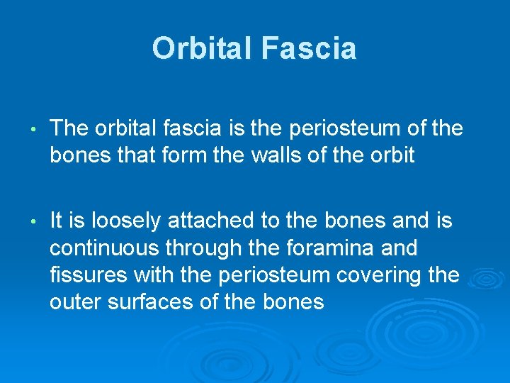 Orbital Fascia • The orbital fascia is the periosteum of the bones that form