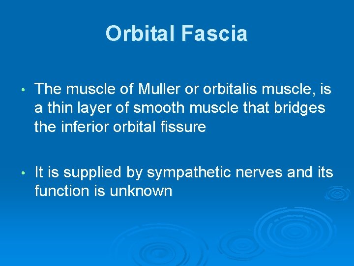 Orbital Fascia • The muscle of Muller or orbitalis muscle, is a thin layer