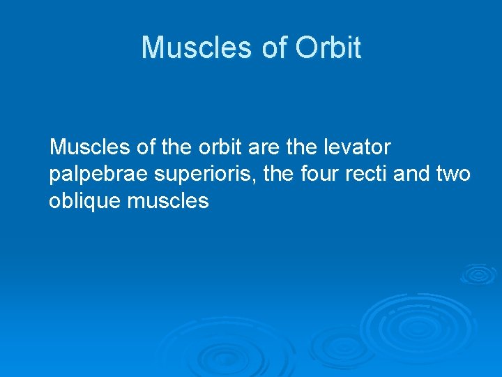 Muscles of Orbit Muscles of the orbit are the levator palpebrae superioris, the four