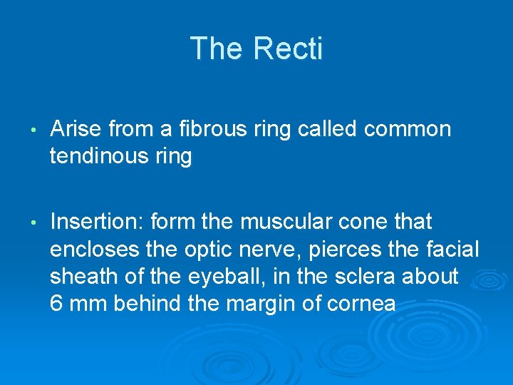 The Recti • Arise from a fibrous ring called common tendinous ring • Insertion: