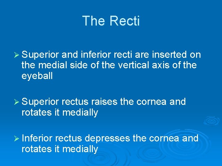 The Recti Ø Superior and inferior recti are inserted on the medial side of
